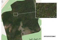 Piranus_ortofotomapa-en