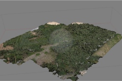 Piranus_chmura_punktów