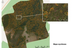 Piranus_ortofotomapa_mapa_wynikowa