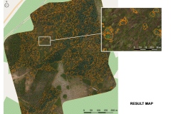 Piranus_ortofotomapa_mapa_wynikowa-en